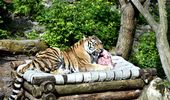 Летний досуг обитателей Киевского зоопарка. Фото | Фото 12