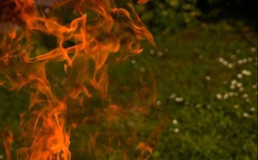 Огромный пожар в британском заповеднике возник из-за барбекю