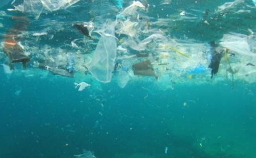 Роботов научили уничтожать пластик в океане