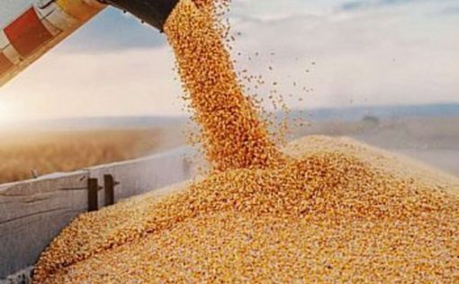Зерновым коридором экспортировали более 800 тыс. тонн агропродукции