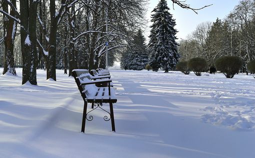 В Украину придет классическая зима | Фото: pixabay.com