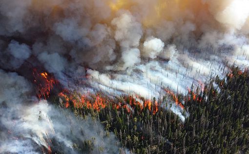 Дым от лесных пожаров в США добрался до Европы