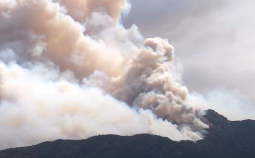 Лесной пожар во Франции: сотни пожарных борются с первым крупным пожаром 2023 го