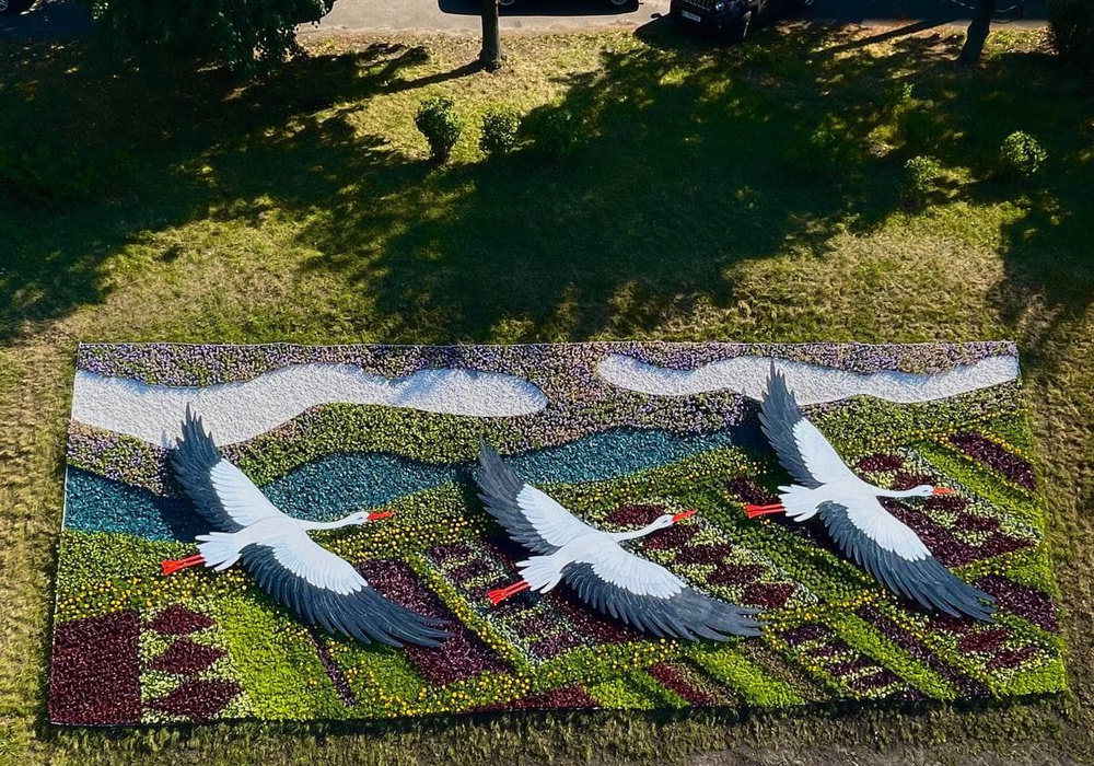 Киев украсили цветочные аисты и вышиванки. Фото