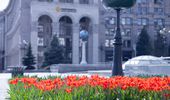 В Киеве начинают расцветать тюльпаны: перечень локаций | Фото 5