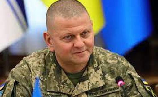 В Украине поднялась шумиха из-за "отставки" Залужного: в МО ответили
