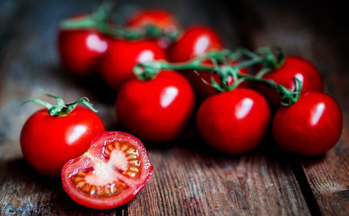 Ученые разработали биопластик из кожуры помидора