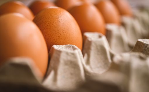 Цены на яйца удивили даже чиновников: заявление Минагрополитики