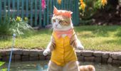 Хочу быть котиком: нейросеть показала котов в отпуске. Фото | Фото 4