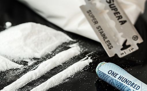 В Италии изъяли 4,3 тонны наркотиков