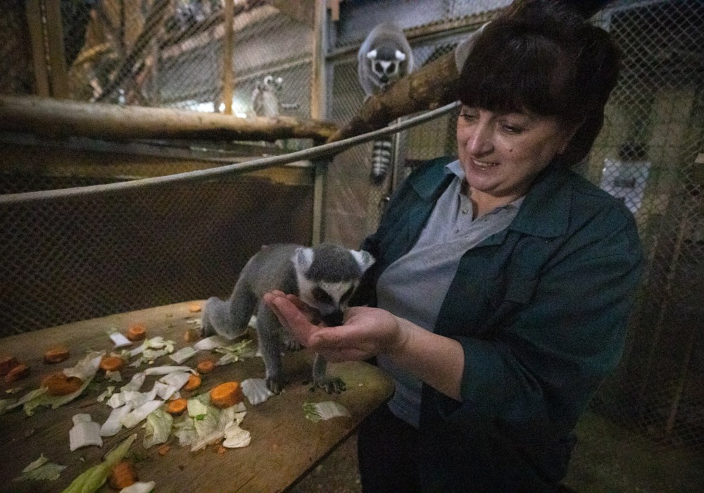 Подросшие обитатели Киевского зоопарка. Фоторепортаж