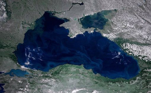 В Черном море находятся 14 боевых кораблей флота РФ