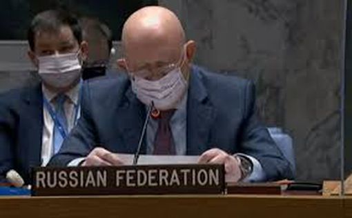 РФ поднимет тему убийства Дугиной на заседании Совбеза ООН