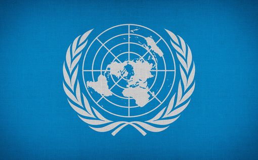ООН відкриє офіс продовольчої програми в Україні | Фото: pixabay.com