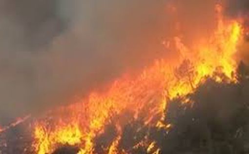 В Калифорнии продолжают бушевать пожары: люди эвакуированы