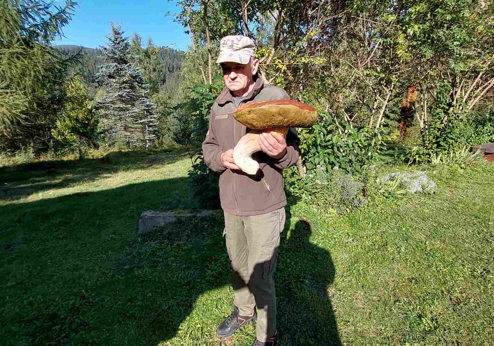 Фото дня. Карпатский гриб-гигант | Фото: https://www.facebook.com/CarpathianNNP