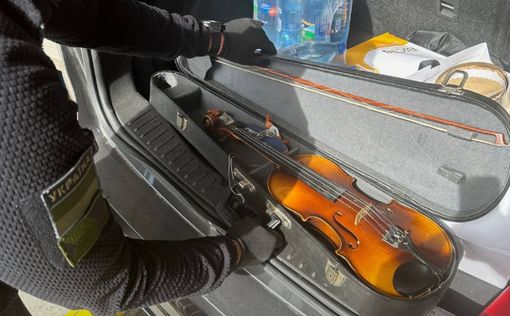 Прикордонники знайшли скрипку Страдіварі під час спроби вивезення за кордон