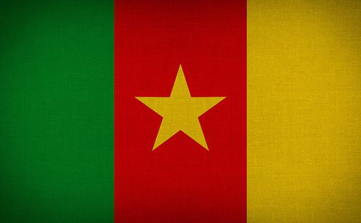 Обвал здания в Камеруне: больше 30 жертв