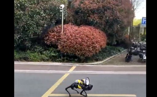 Кошмары становятся явью: роботы-собаки патрулируют Шанхай во время локдауна