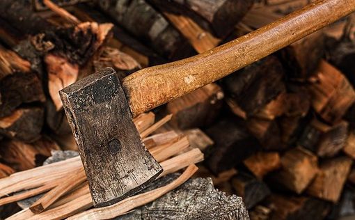 Жители опасных территорий в Украине смогут бесплатно получить дрова