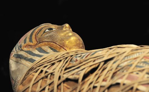 Сотни мумий и пирамиду неизвестной царицы нашли возле гробницы Тутанхала