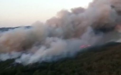В районе курорта Мармарис бушует лесной пожар