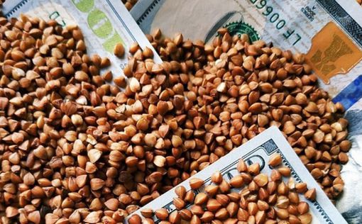 Україна збере рекордний урожай гречки: як це вплине на ціни