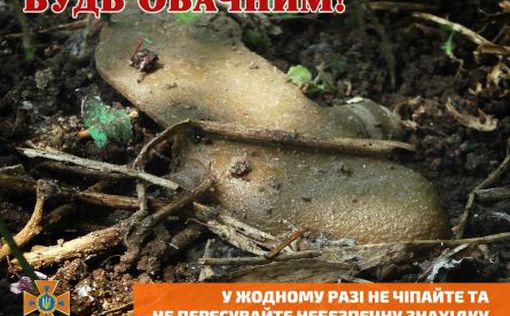 Харьковщина: в результате взрыва противопехотной мины пострадала женщина