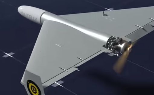 В Румынии нашли новые обломки российского дрона