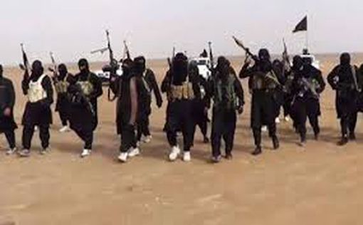 Макрон: Франция привержена борьбе с ISIS