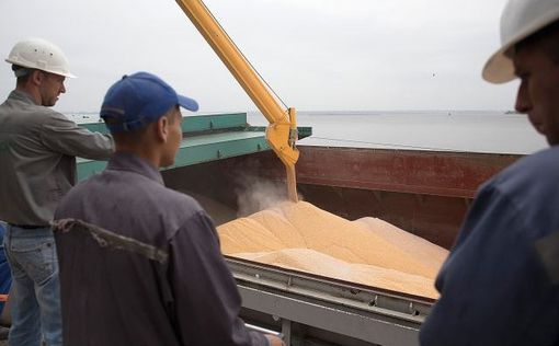 США и Украина готовят "план Б" по вывозу зерна