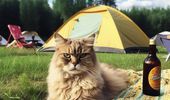 Хочу быть котиком: нейросеть показала котов в отпуске. Фото | Фото 6