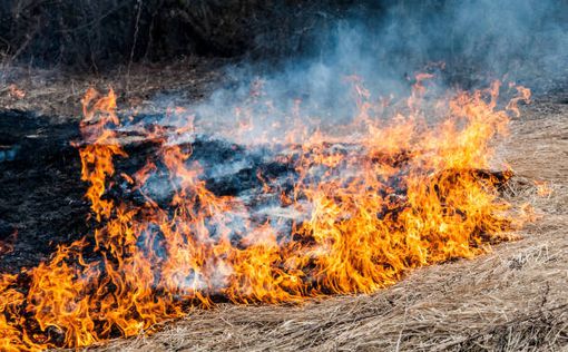У Києві та області на вихідних оголошено надзвичайний рівень пожежної небезпеки