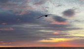 Закат солнца в Атлантическом океане: поразительные фото | Фото 2