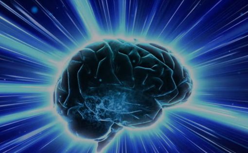 Ученые нашли в кишечнике человека самостоятельный мозг