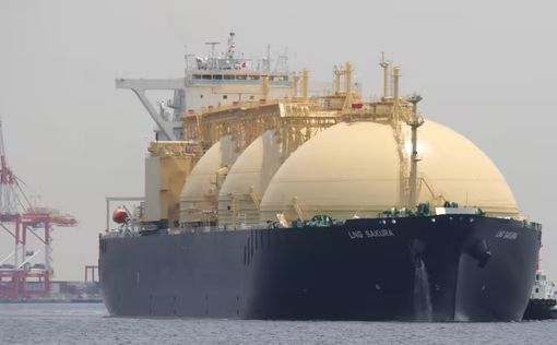 Япония договорилась с  Petronas о наращивании поставок СПГ