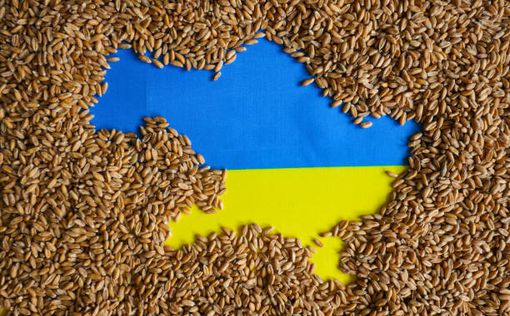 Угорщина загрожує припинити імпорт українського зерна, очікуючи на рішення ЄС
