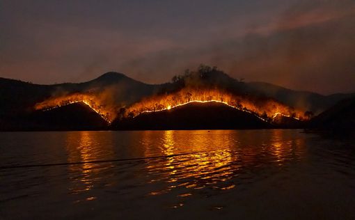 Пожары в Турции: украинских туристов пока не эвакуируют
