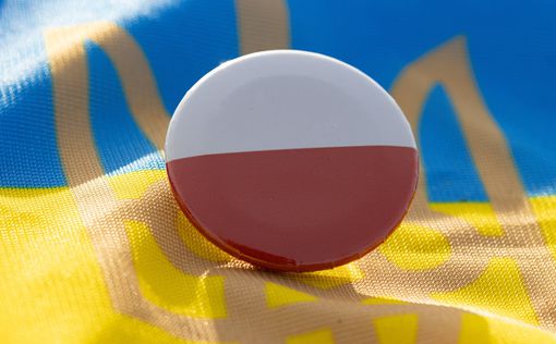 Зарплата украинцев в Польше: суммы и перспективы | Фото: pixabay.com