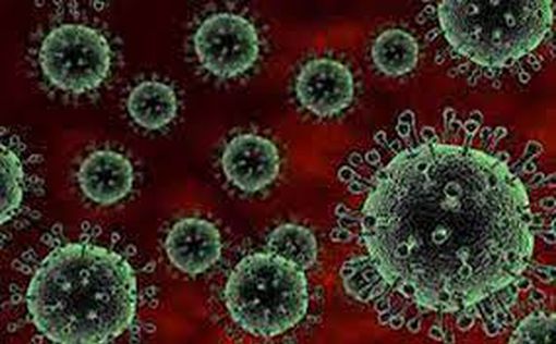 Новая мутация коронавируса вызывает опасения