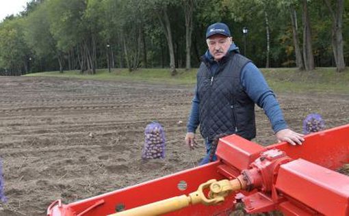 Лукашенко переплутав картоплю з нафтою