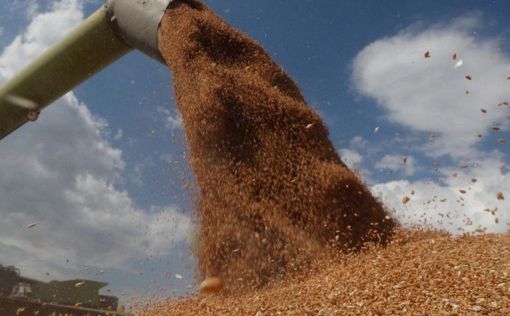 Из Украины уже удалось вывезти 375 тысяч тонн зерна
