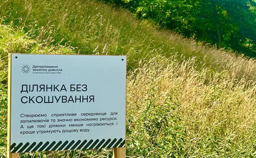 В Киеве временно прекратили скашивать траву
