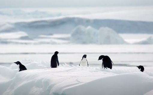 Украинские полярники зафиксировали температурный рекорд в Антарктиде