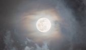 Розовая Луна: вид с планеты Земля. Уникальные кадры | Фото 2