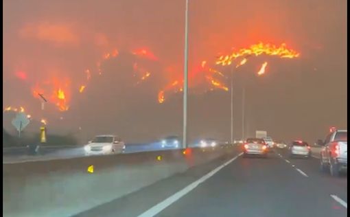 Чили охватили масштабные лесные пожары: есть жертвы