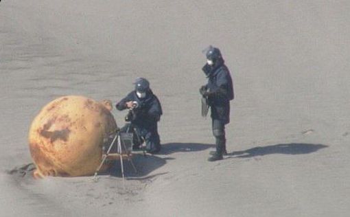 Інопланетяни? В Японії на березі моря знайшли "невідому кулю"