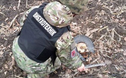 Обломки вражеского шахеда уничтожили взрывотехники Киевской области