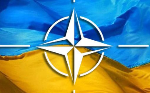 НАТО может поучиться у Украины