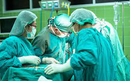 Прорыв в хирургии: впервые человеку успешно пересадили почку свиньи